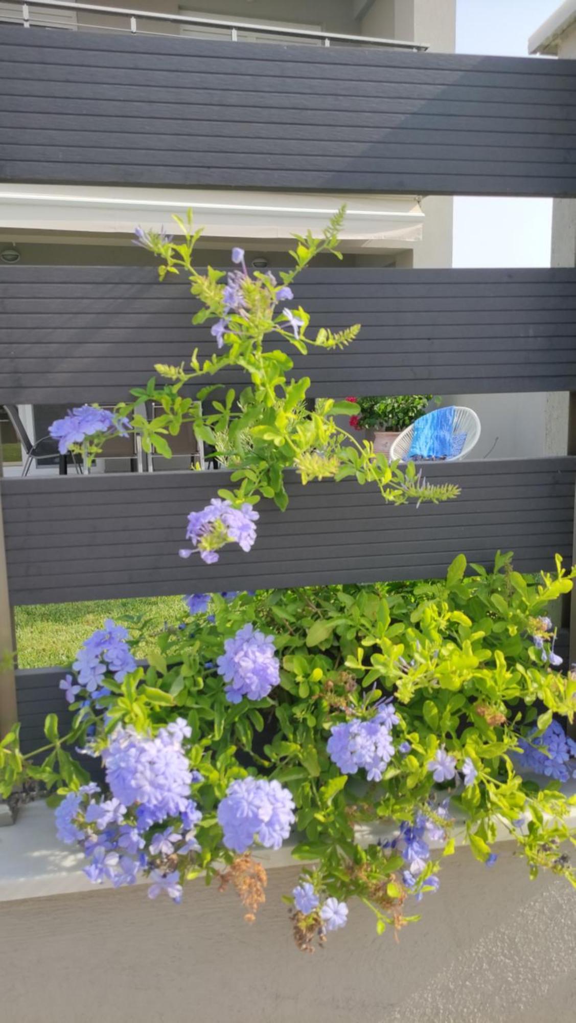 To Helidoni Apartment & Gardens Никити Экстерьер фото